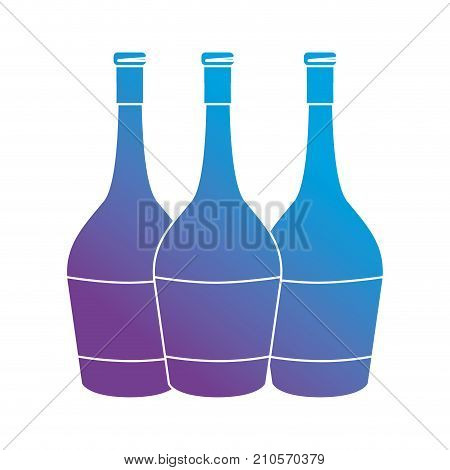 line wine bottles beverege element vector illustration