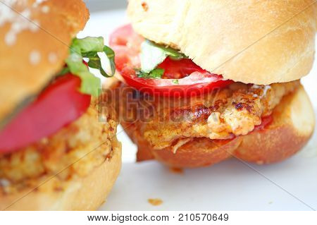 Battered and fried pork cutlets with tomato and chopped lettuce on bread rolls