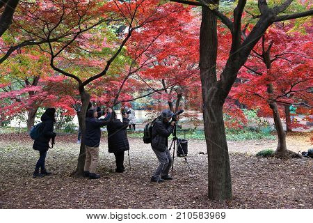 Autumn Photographers