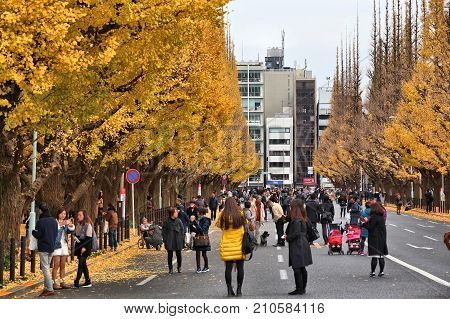 Tokyo Autumn