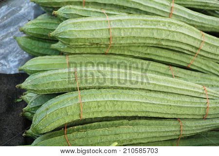Fresh luffa acutangula for cooking in market