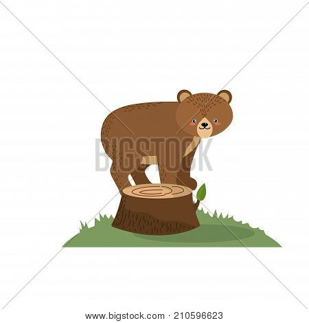 cute bear animal in bole wood tree vector illustration