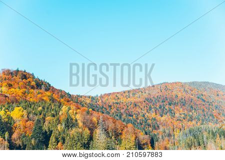 Autumn mountain landscape of carpathian mountains in sunny day