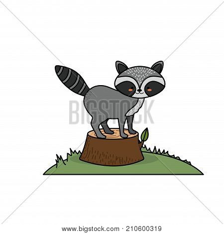 cute raccoon animal in bole wood tree vector illustration