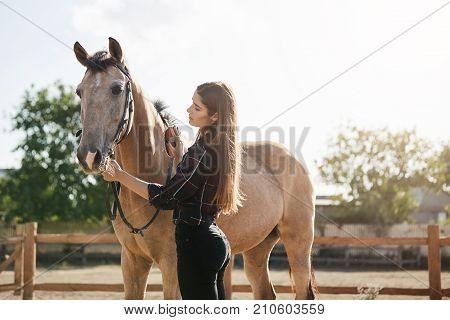 Young woman taking care of a horse. Broodmare managers are equine professionals with experience in managing the needs of mares and foals