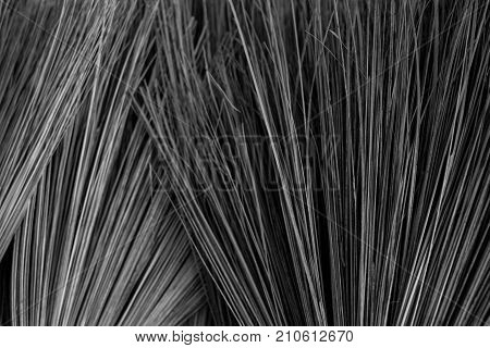 Close up Broom Thai traditional hand craft mad by coconut branch show detail texture of the coconut branch.