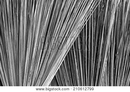Close up Broom Thai traditional hand craft mad by coconut branch show detail texture of the coconut branch.