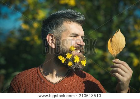 Hipster Or Bearded Guy In Autumn Nature Outdoor.