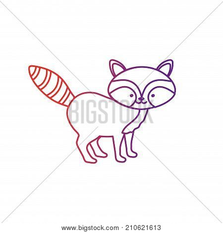 line cute raccoon wild animal icon vector illustration
