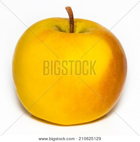 Ripe Yellow Apple Isolated On White Background