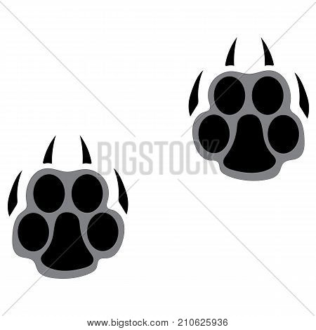 Footprints of a big cat. Panther or tiger traces. Vector