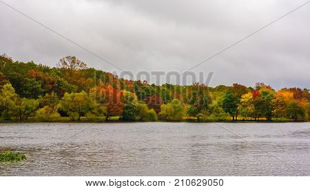 The bold colors of Autumn are on display in Monmouth County's Turkey Swamp Park on a rainy fall day.