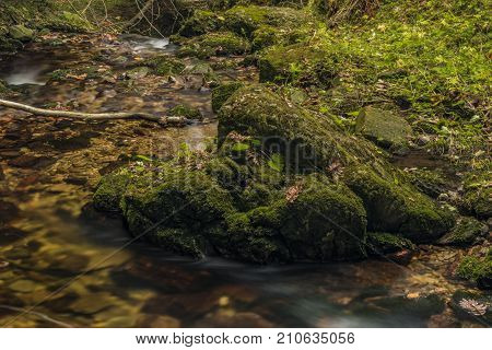 Javori Creek In Krkonose Mountains National Park In Autumn Color Day