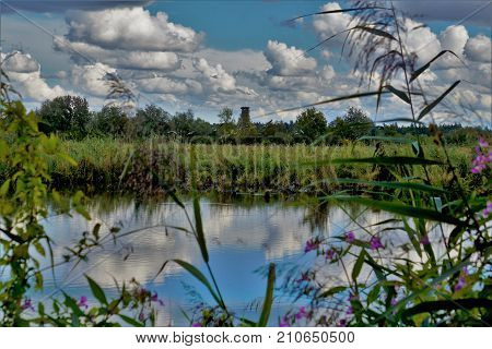 View over lake at summer time all green and blue with clouds