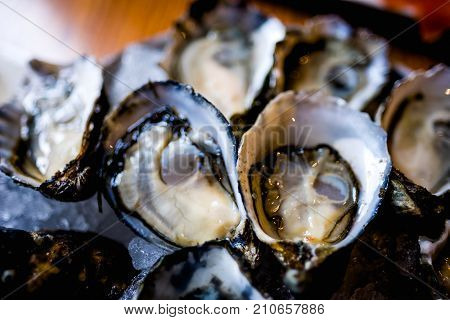 Ready to eat Oysters - Kumomotos - Fresh oysters - shucked