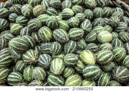 Top view on fresh green cucamelon (Melothria scabra).