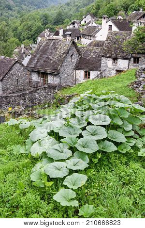 Traditional Rural Village Of Fontana On The Swiss Alps