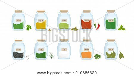 Collection of spices stored in clear closed jars isolated on white background. Bundle of spicy condiments, piquant cooking ingredients in transparent kitchen containers. Colorful vector illustration