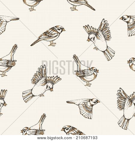 Beautiful seamless pattern with flying and sitting sparrows on light background. Backdrop with cute small city bird. Colored vector illustration for wallpaper, textile print, wrapping paper