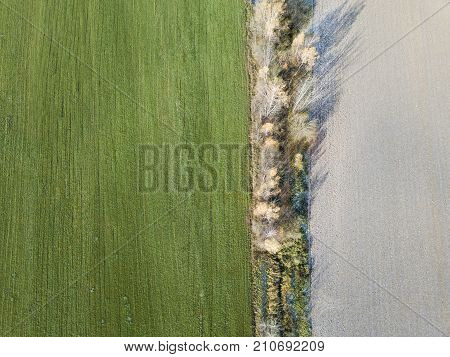 Field near Lugovaya Moscow region. Plowed land and winter crops. View from above