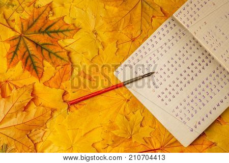 Old School Exercise Book With A Wooden Ink Pen On A Background Of Yellow Maple Leaves. A Exercise Bo
