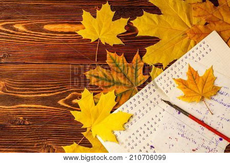 Old School Exercise Book With A Wooden Ink Pen And Yellow Maple Leaves On A Background Of Old Wood .
