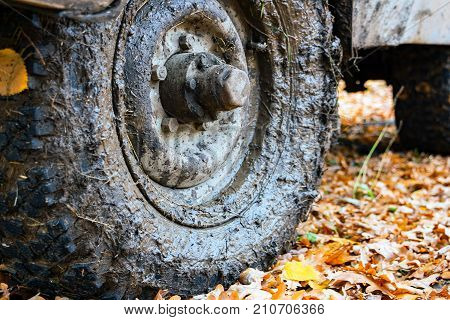 Dirty the wheels of the car after off-road. The car is in the autumn forest, fallen leaves. Selective focus