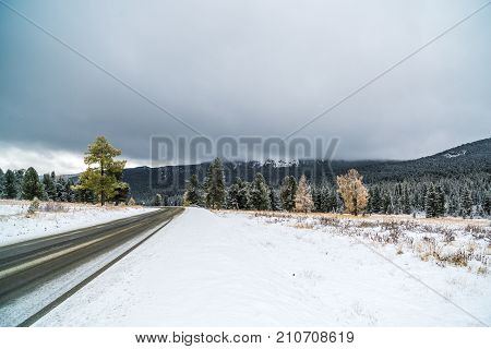 Federal highway M-52 Chuysky tract, asphalted road with markings among the autumn trees covered with snow. Russia, the Altai Republic.