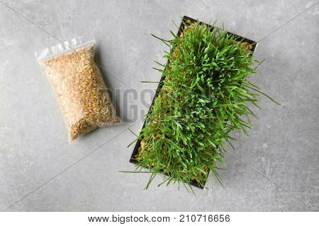 Sprouter with wheat grass and seeds in plastic package on table