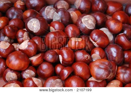 Castanhas