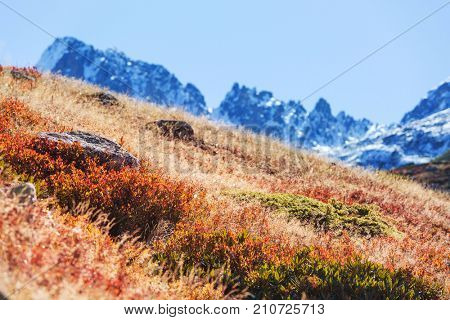 Autumn season in  Kackar Mountains in the Black Sea region of Turkey. Beautiful mountains landscape.