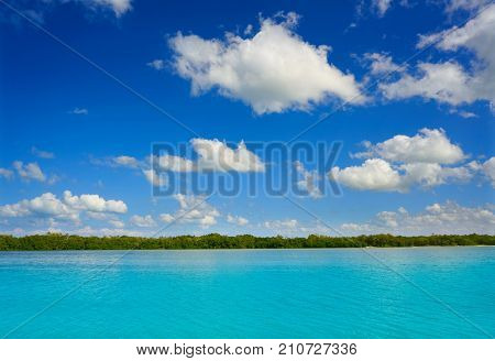 Holbox Island beach mangroove in Quintana Roo of Mexico