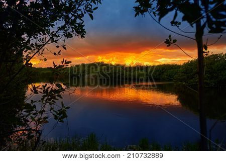 Mangroove sunset in Riviera Maya of Mayan Mexico