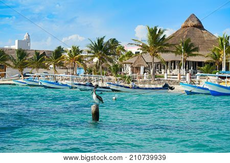 Puerto Morelos beach in Riviera Maya at Mayan Mexico