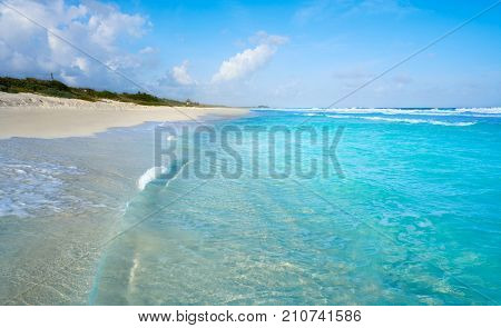 Cozumel island San Martin beach in Riviera Maya of Mayan Mexico