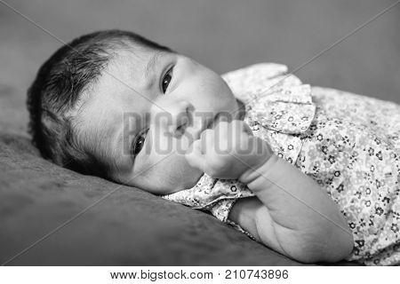 Close up portrait of a cute two weeks old newborn baby girl lying down, eyes open and looking around wearing a floral dress