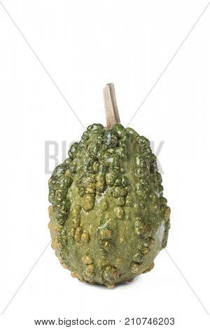 closeup of a warty pumpkin on a white background with a blank space on top