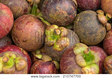 Fresh mangosteen in the basket on Thai market.