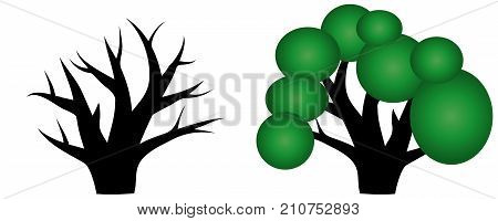 Two trees with a green crown, no leaves, thick trunks