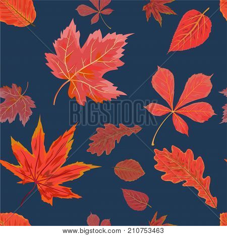 Vector Seamless Autumn fall season patten background floral watercolor style with colorful falling red orange leaves of forest maple chestnut tree. Decorative beautiful print on navy blue background