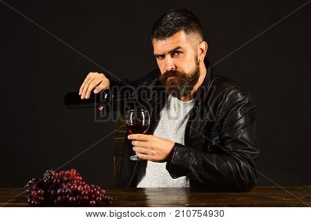 Degustator With Serious Face Sits By Bunch Of Dark Grapes