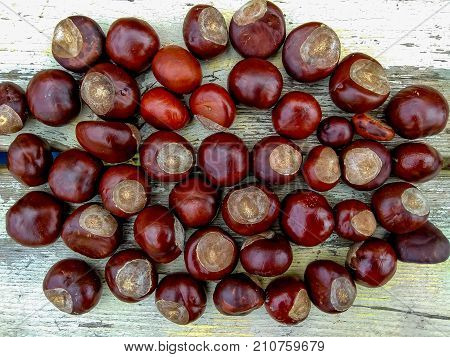 Ripe chestnuts white wooden background, outdoor shoot, top view, background