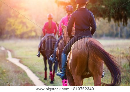 Group of teenage girls riding horses in autumn park. Equestrian sport background with copy space