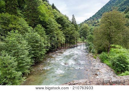 Flowing Firtina River In Rize In Forest