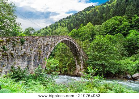 Historical High Stone Bridge On Firtina River