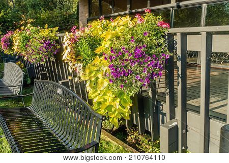 Flower baskets hang from a railing 
