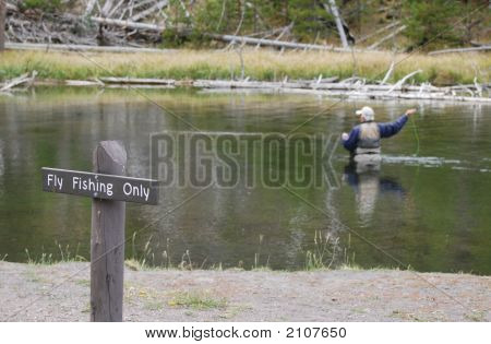 Pescador de mosca