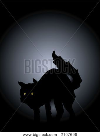 Schwarze Katze