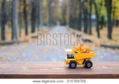 The Concept Of Seasonal Harvesting Of Autumn Fallen Leaves Is Depicted In The Form Of A Toy Yellow T