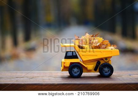 A Small Toy Yellow Truck Is Loaded With Yellow Fallen Leaves. The Car Stands On A Wooden Surface Aga